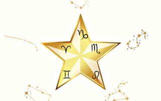 Venus-Star-Point-Newsletter-December-2025